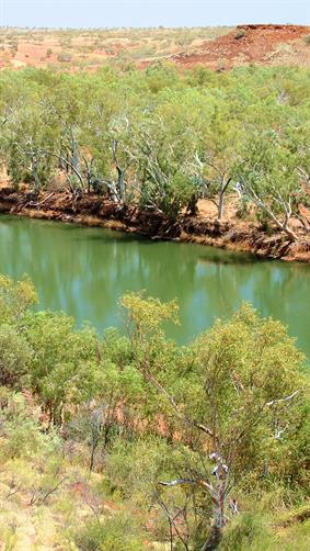 Millstream, Pilbara, WA.